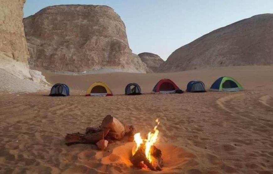 (le caire et giza – oasis bahrya désert blanc et noire – siwa)