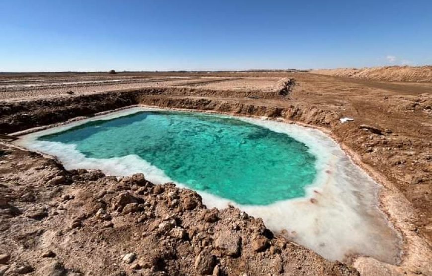 (le caire et giza – oasis bahrya désert blanc et noire – siwa)