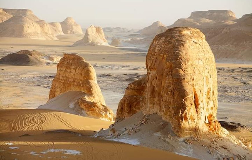 (le caire et giza – oasis bahrya désert blanc et noire – siwa)