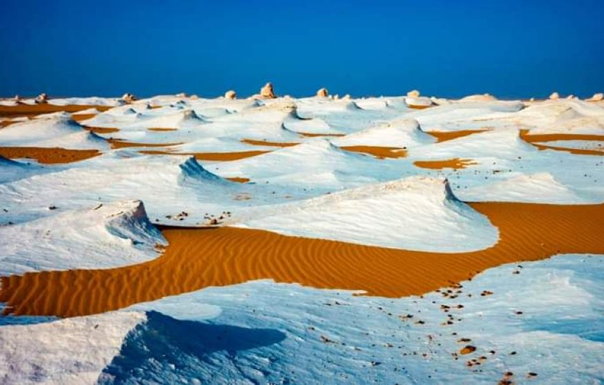 (le caire et giza – oasis bahrya désert blanc et noire – siwa)