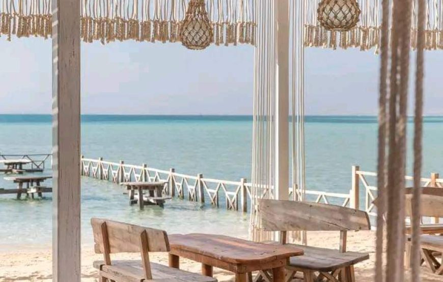 (caire et giza – oasis bahrya le désert blanc et noire – siwa – hurghada )