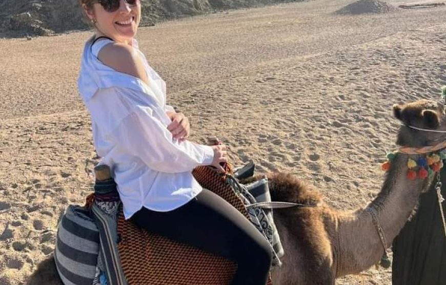 (caire et giza – oasis bahrya le désert blanc et noire – siwa – hurghada )