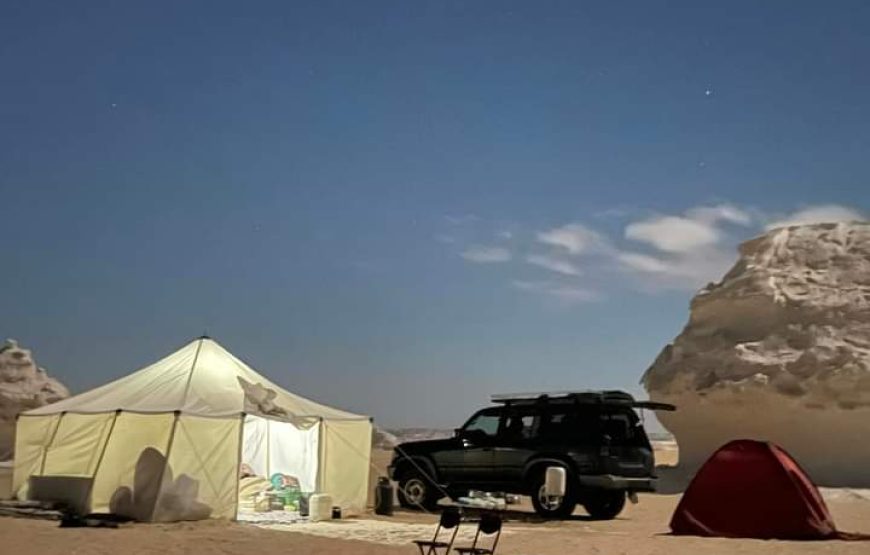 (caire et giza – oasis bahrya le désert blanc et noire – siwa – hurghada )