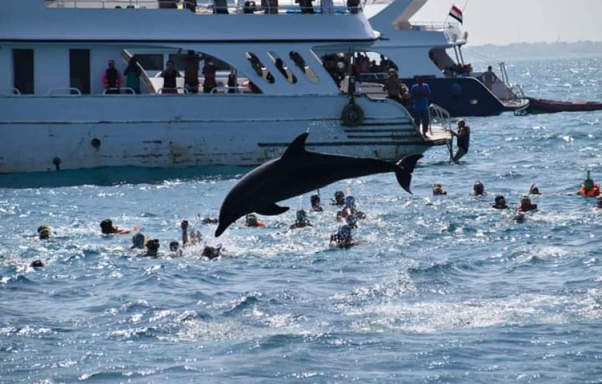 (caire -giza – aswan – louxor – hurghada )