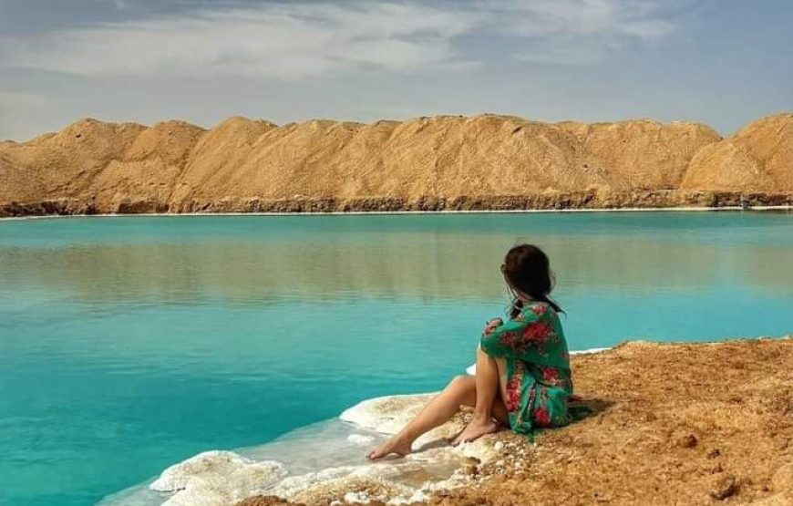 (caire et giza – oasis bahrya le désert blanc et noire – siwa – hurghada )