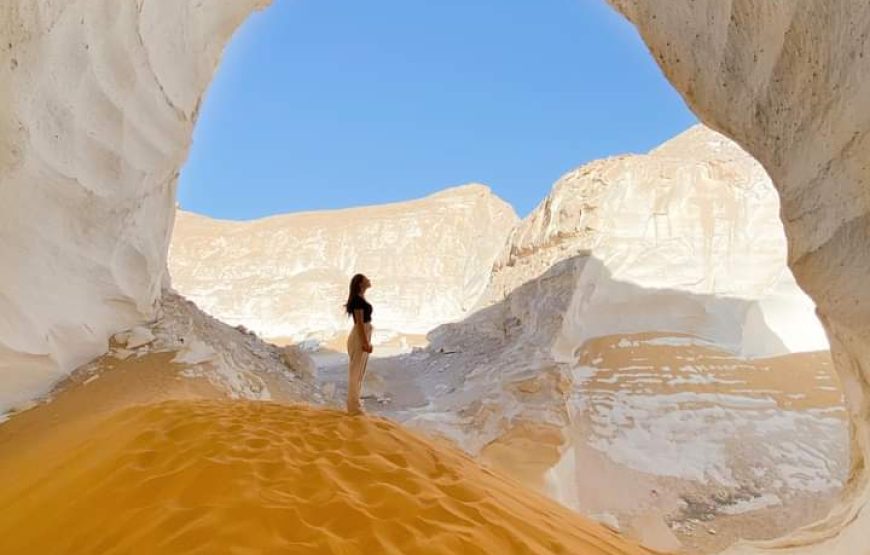 (caire – giza – oasis bahrya le désert blanc et noire – louxor – hurghada )