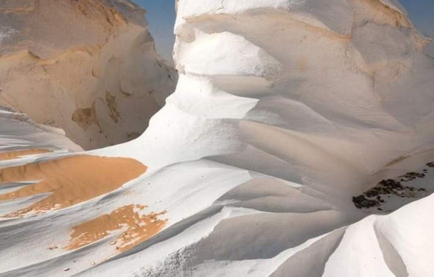 (caire et giza – oasis bahrya le désert blanc et noire – siwa – hurghada )