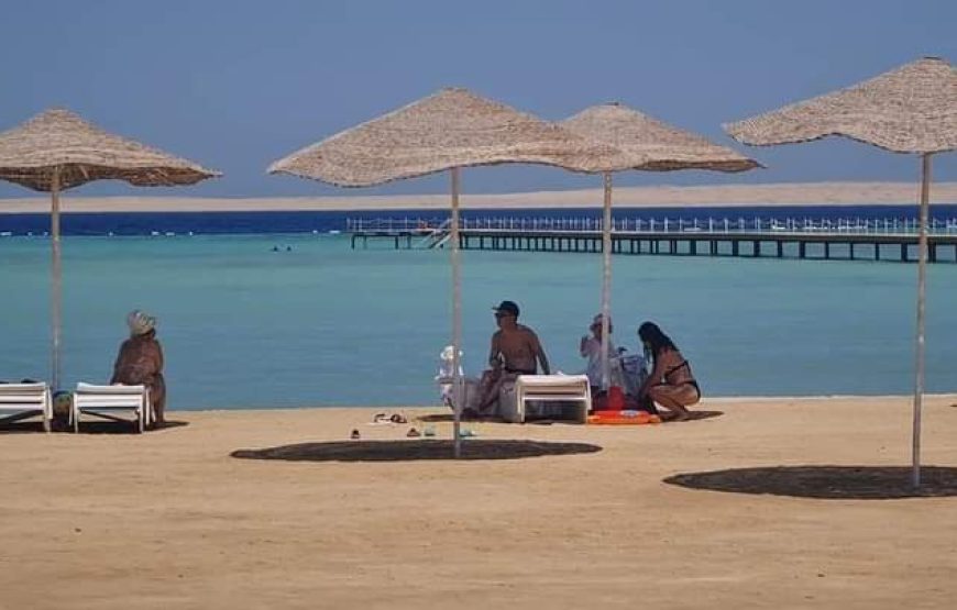 (caire – giza – oasis bahrya le désert blanc et noire – louxor – hurghada )