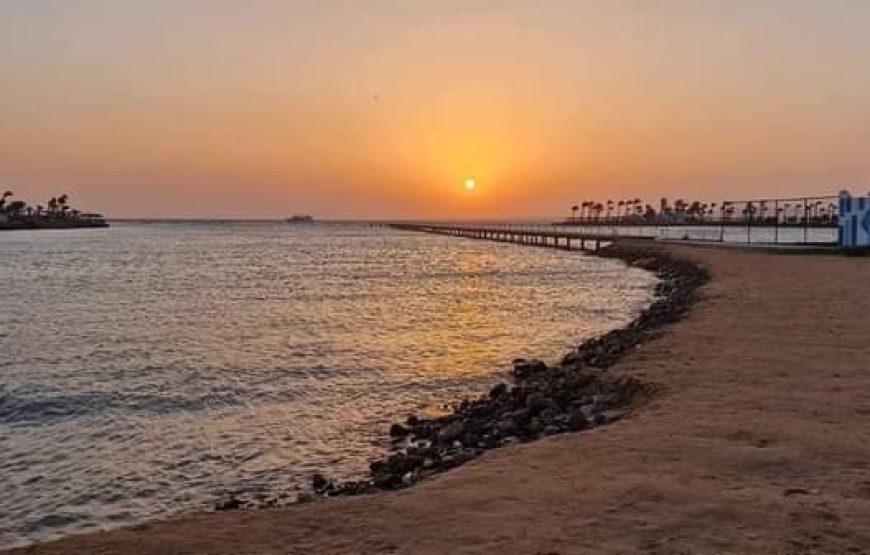 (caire – giza – oasis bahrya le désert blanc et noire – louxor – hurghada )