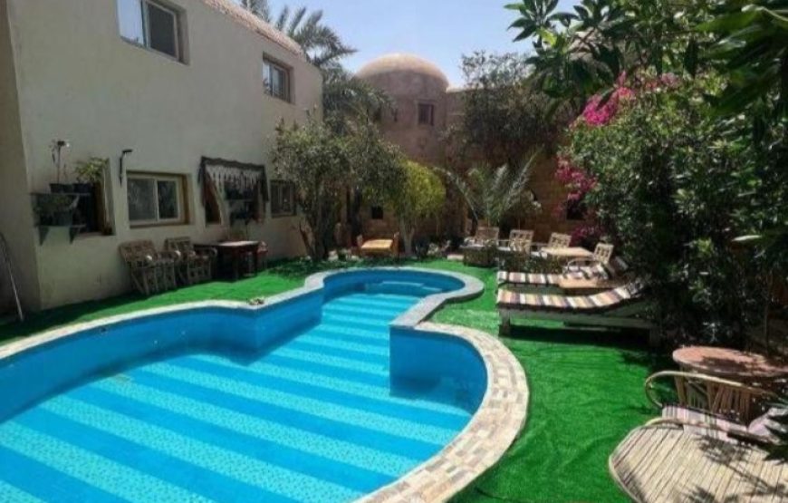 (caire et giza – oasis bahrya le désert blanc et noire – siwa – hurghada )