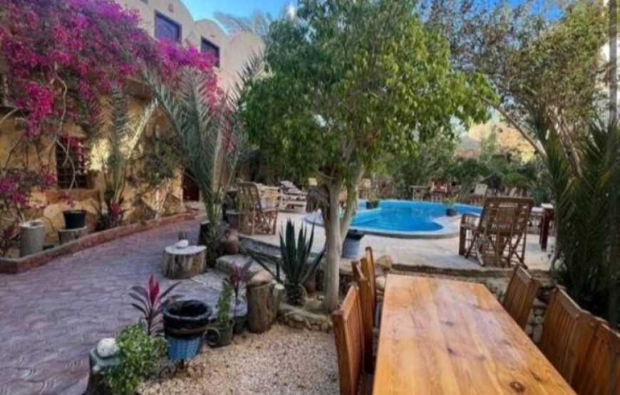 (caire  et giza ,Siwa, aswan , abu simble , croisère ,  louxor hurghada   )