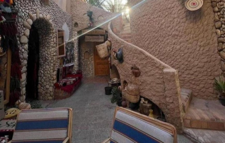 (caire et giza – oasis bahrya le désert blanc et noire – siwa – hurghada )