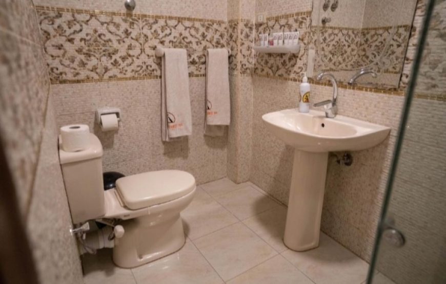 (caire  et giza ,Siwa, aswan , abu simble , croisère ,  louxor hurghada   )