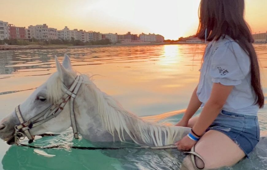 Ballade à Cheval – Hurghada