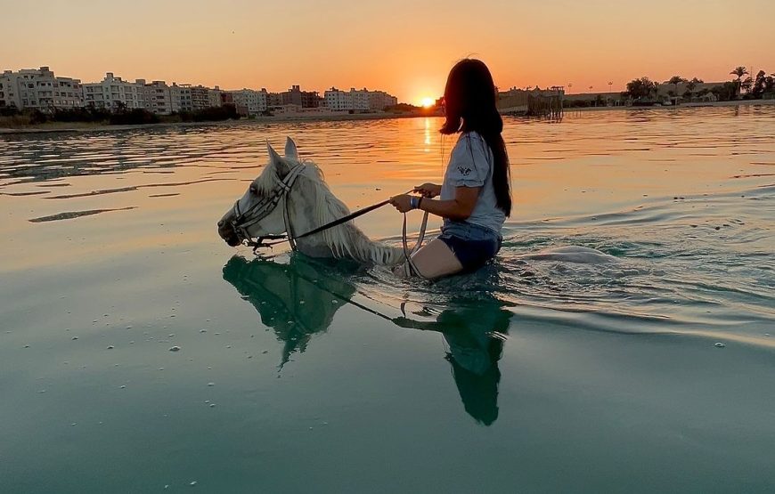 Ballade à Cheval – Hurghada